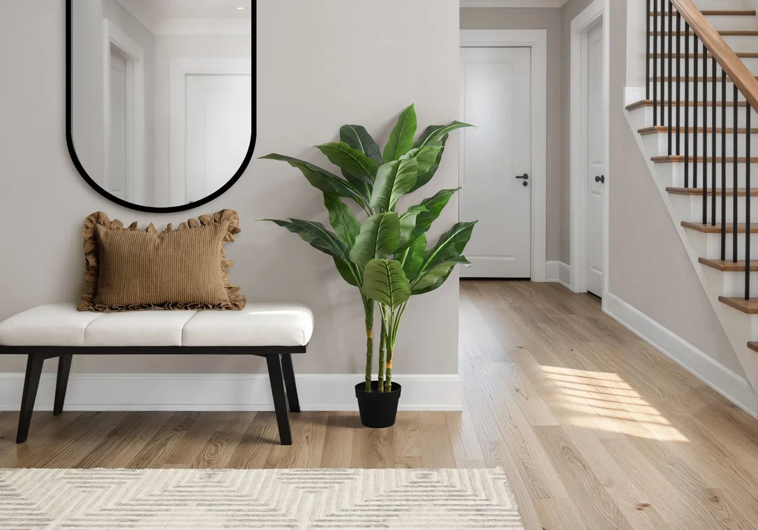dreameehome12351863