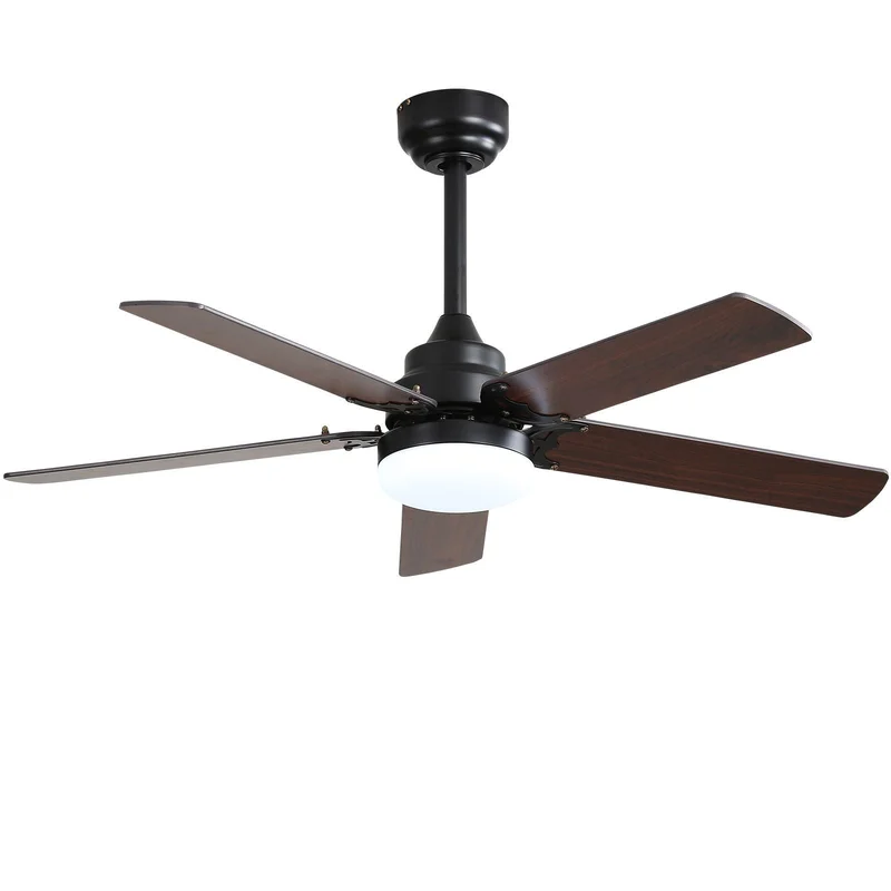 dreameehome12358785