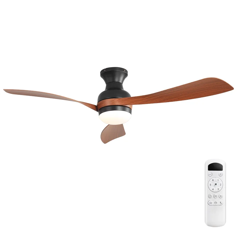 dreameehome2224382