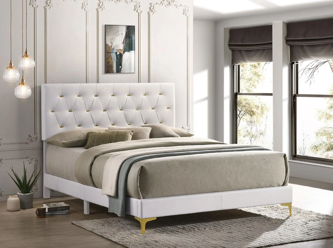 dreameehome3203663