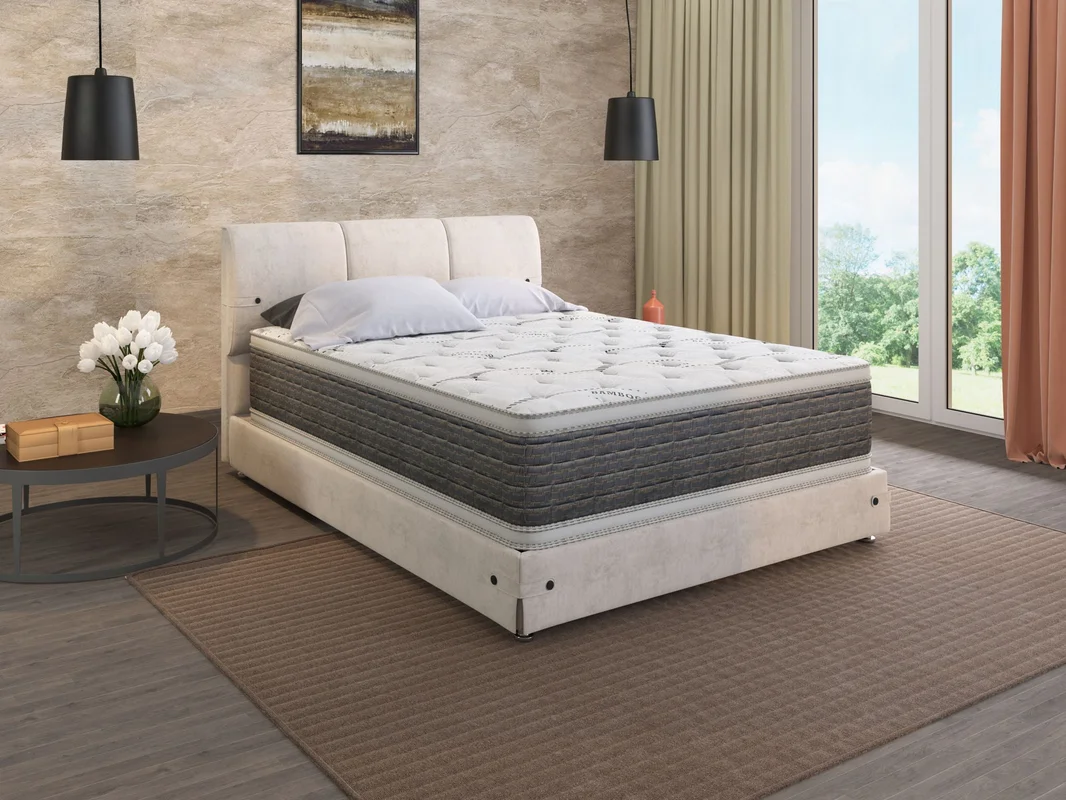 dreameehome3259293