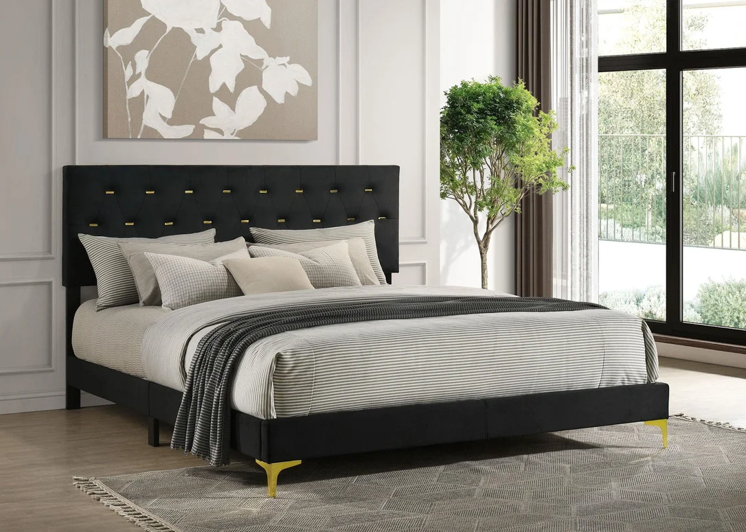 dreameehome3275897