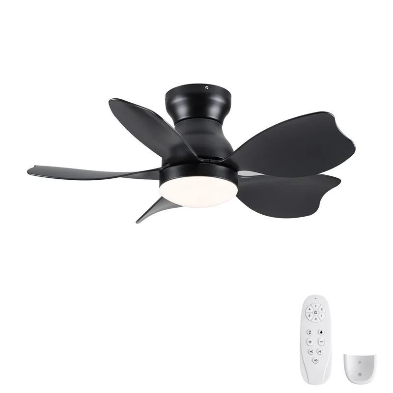 dreameehome4257569