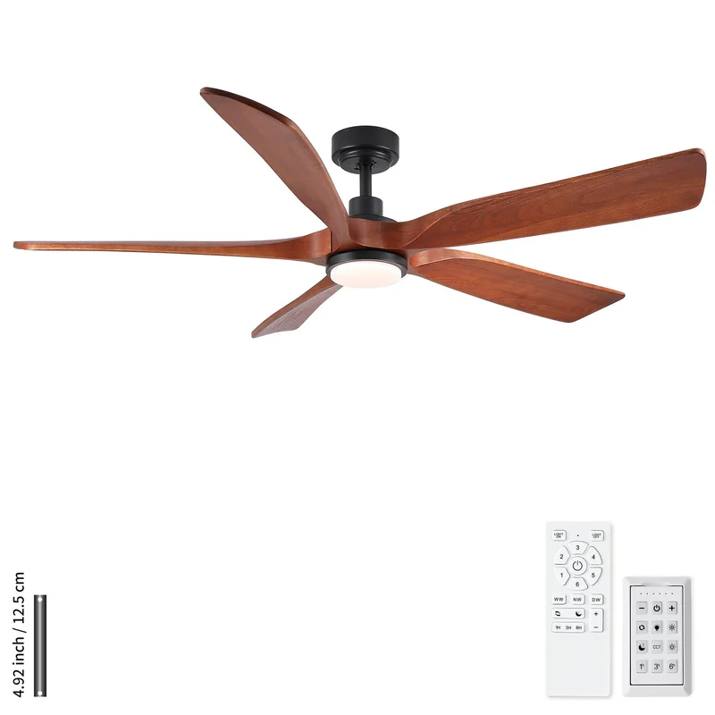 dreameehome4263721