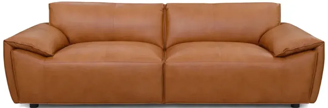 furniture2-279023