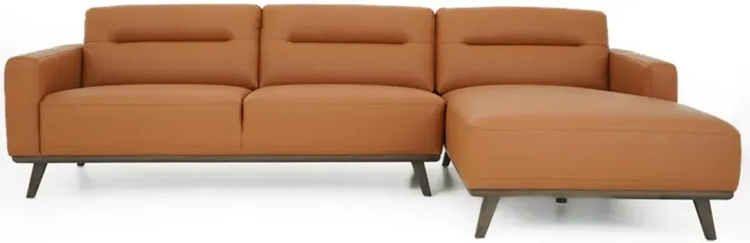 furniture2-303153