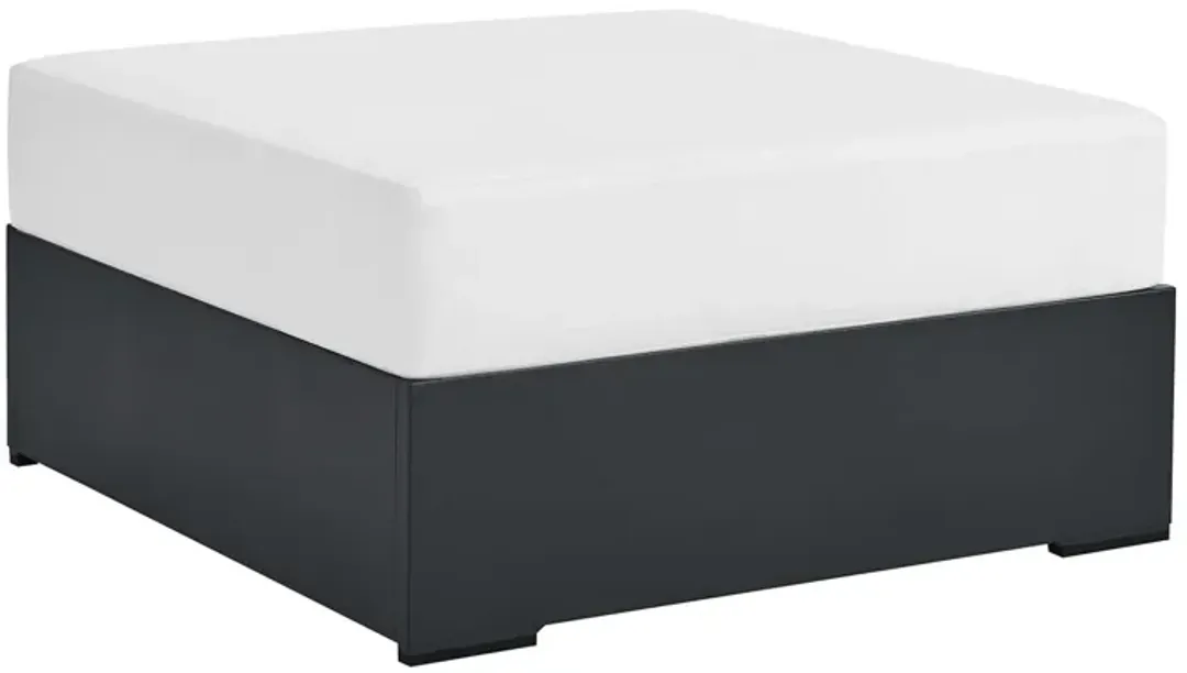 furniture3-336554