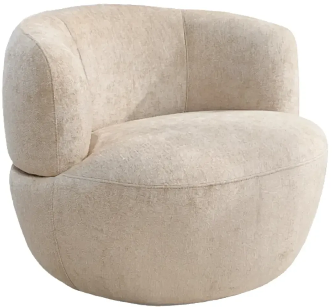 furniture4-388074