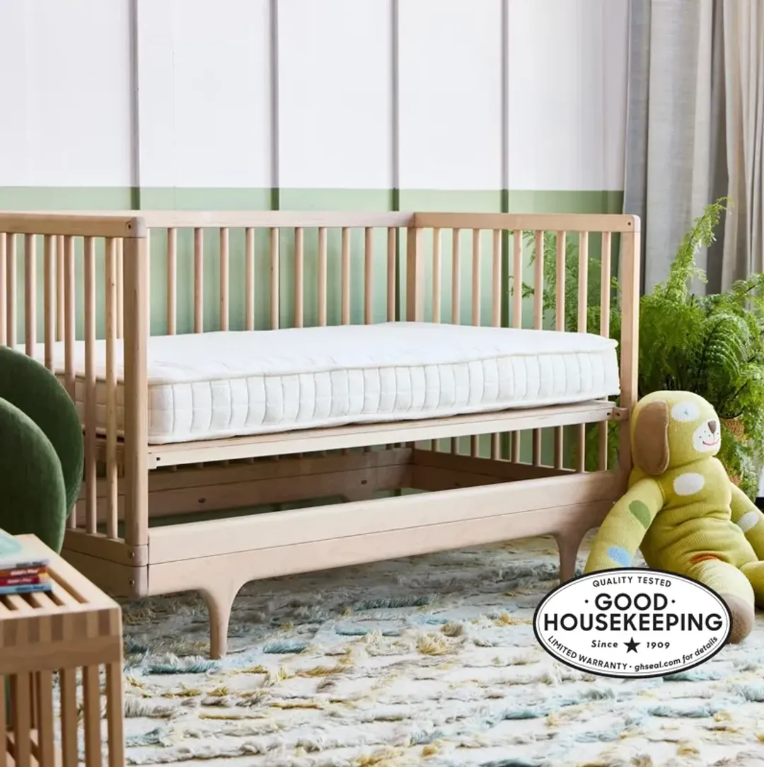 furniture4-483905