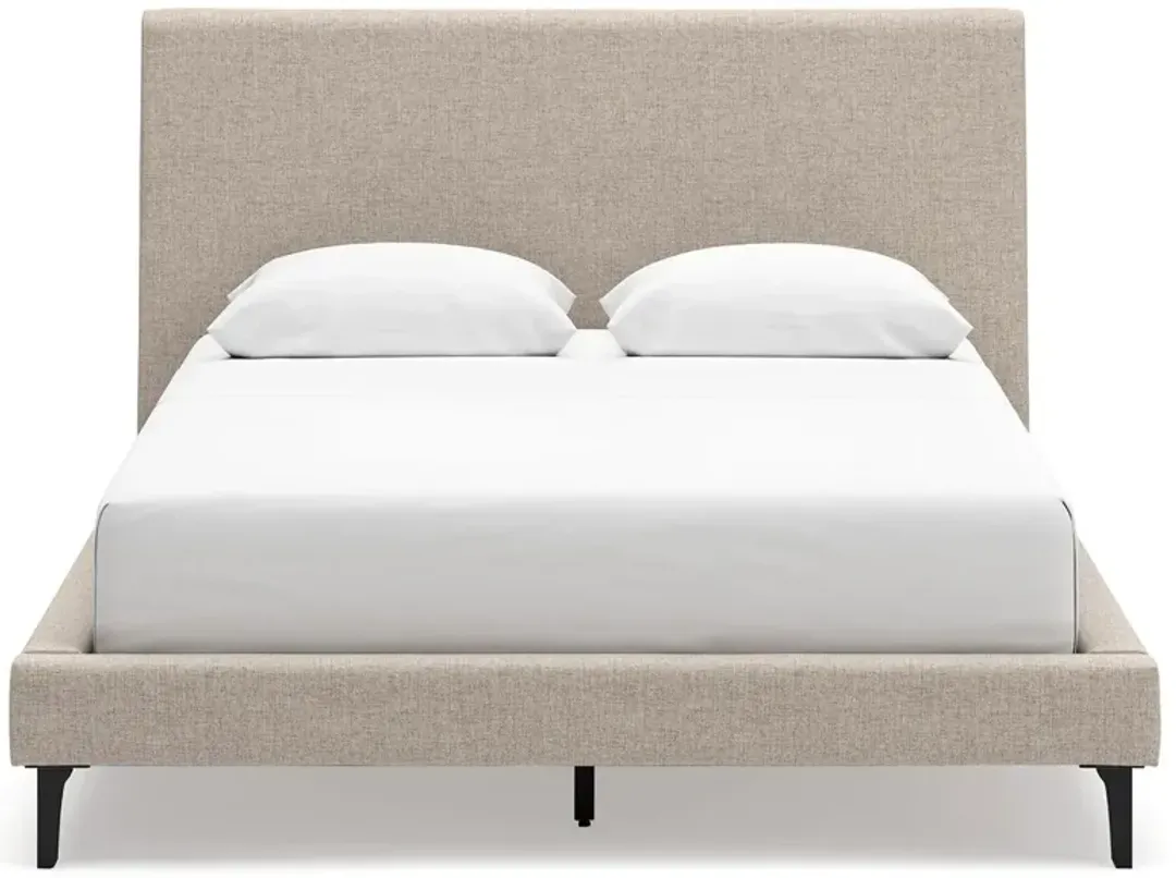 furniture5-428130