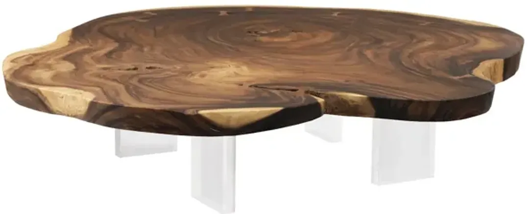 furniture5-431371