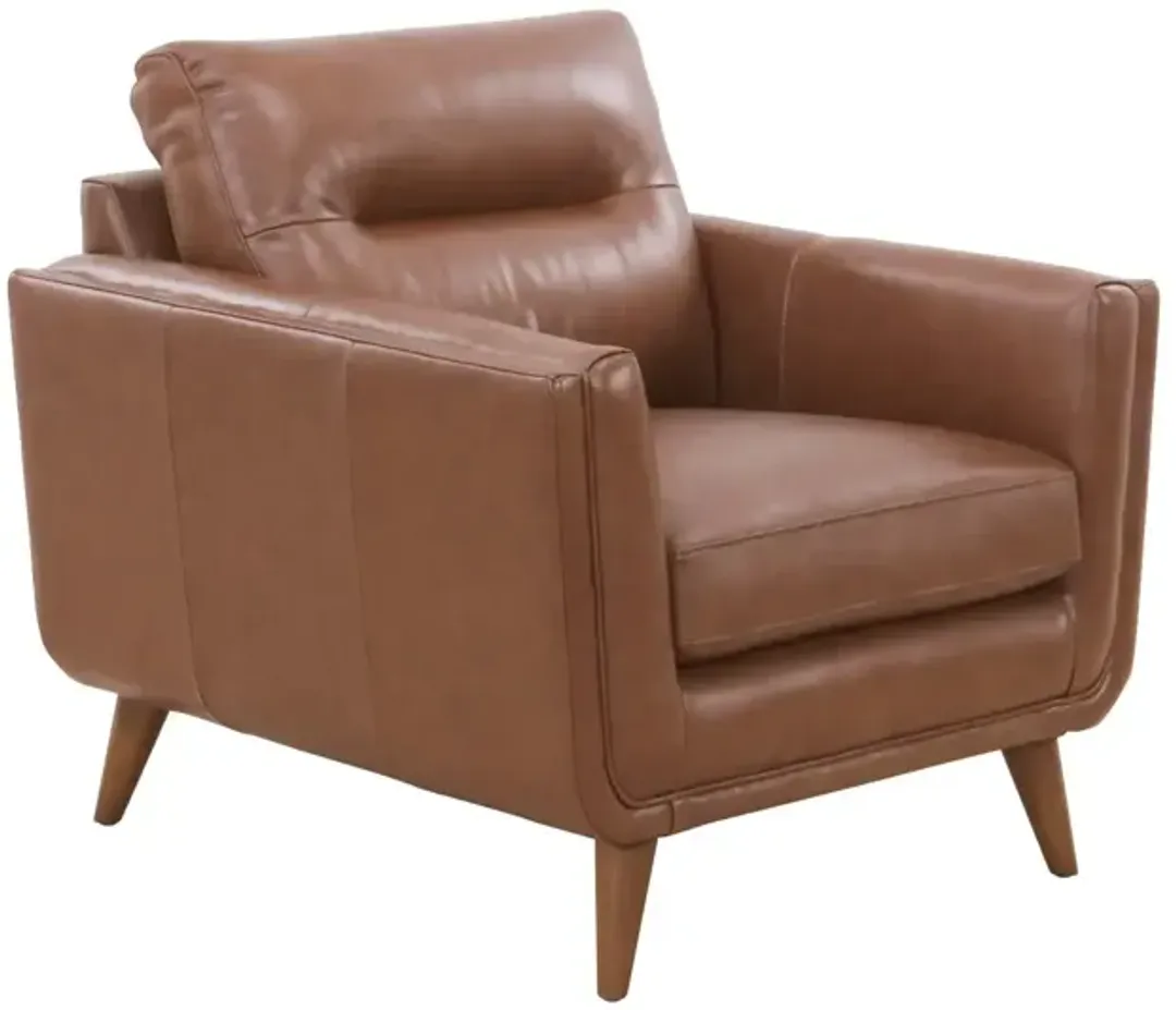 furniture5-486270