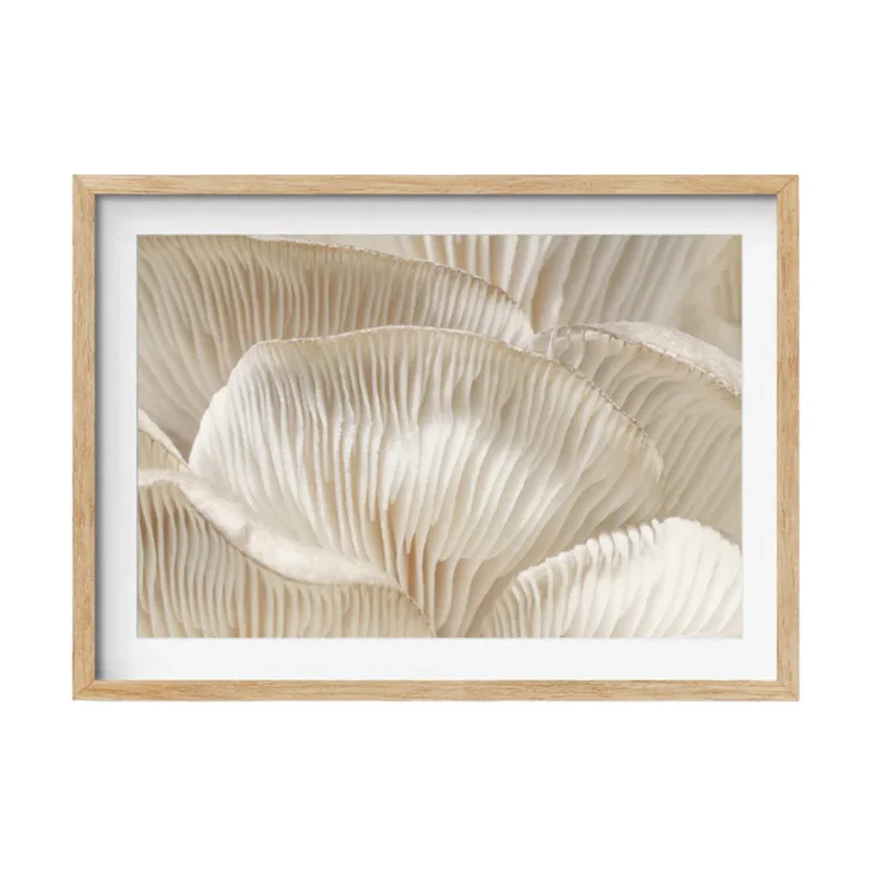puresaltinteriors212280