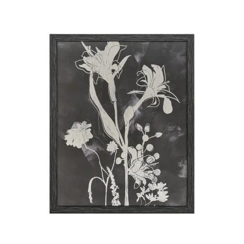 studiolx11-401448