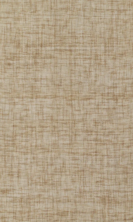 studiolx12-409264