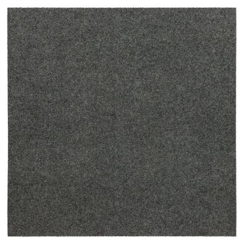 studiolx12-416758