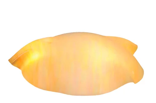 studiolx4-131430