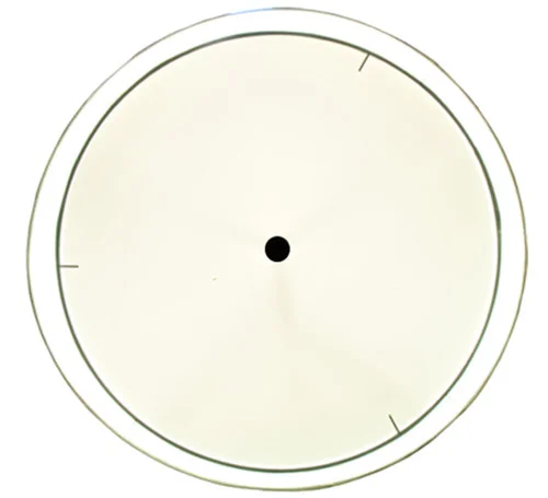 studiolx4-26016
