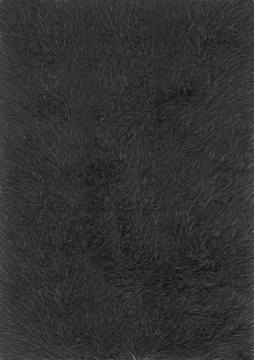 studiolx5-128088
