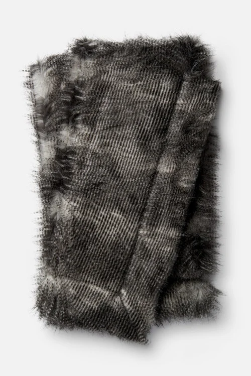 studiolx5-50723