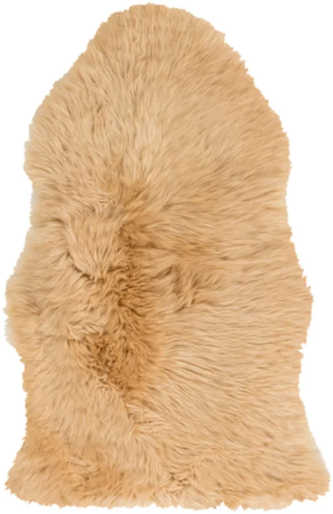 studiolx6-416644
