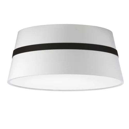 studiolx8-379910